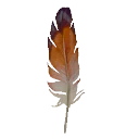 Bishop Feather from Dressmaker