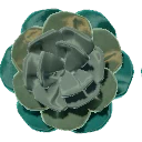 Decadent Teal Silk Flower from Dressmaker