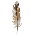 Hoopoe Feather from Dressmaker