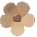 Orange Silk Daisy from Dressmaker