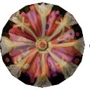 Pink Hibiscus Embroidered Button from Dressmaker