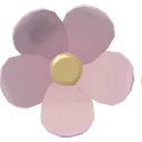 Pink Silk Daisy from Dressmaker