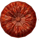 Red Embroidered Button from Dressmaker