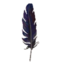 Starling Feather from Dressmaker