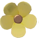 Yellow Silk Daisy from Dressmaker
