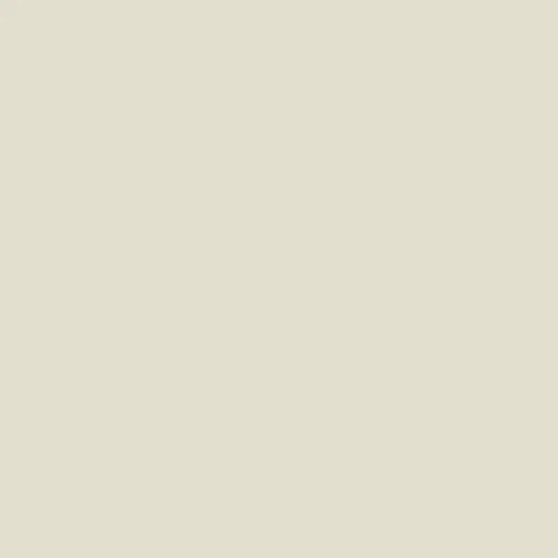 Champagne White Silk from Dressmaker